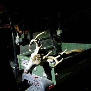 Meet your Posher, Travis